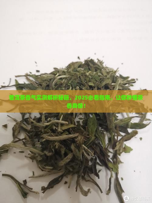 普洱茶香气描写