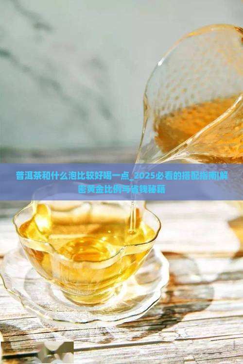 普洱茶和什么泡比较好喝一点