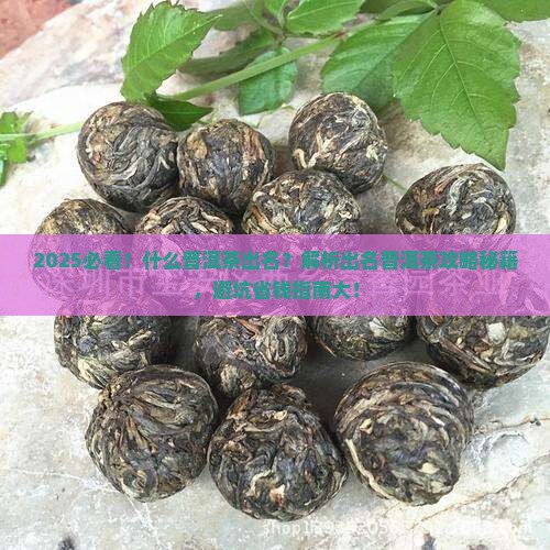 什么普洱茶出名