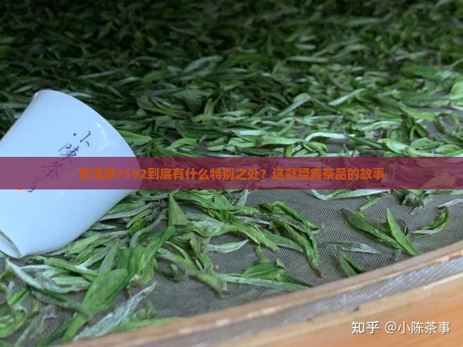 普洱茶编号7592