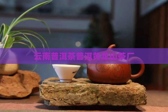 云南勐撤普洱茶黄龙山茶厂