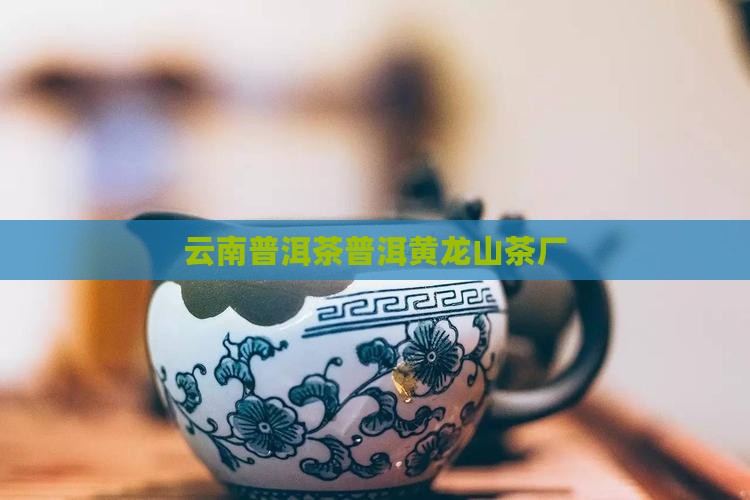 云南勐撤普洱茶黄龙山茶厂