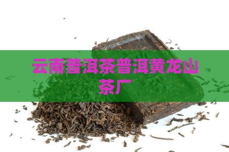 云南勐撤普洱茶黄龙山茶厂