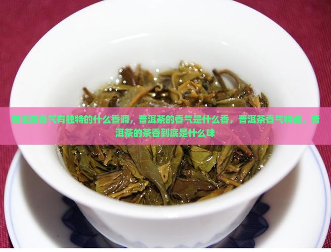 普洱茶香气有独特的什么香调
