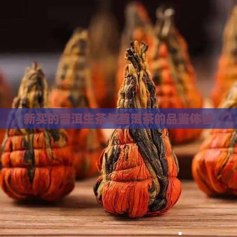 新买的普洱生茶