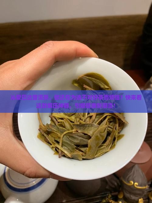 沁爱巴达普洱茶