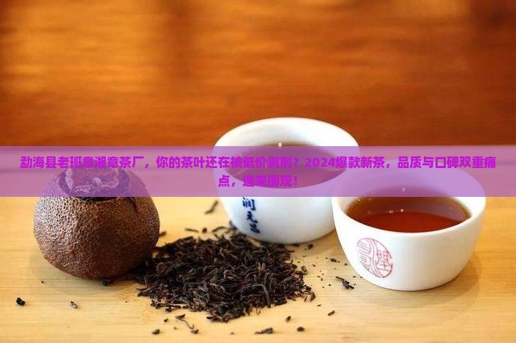 勐海县老班章湘章茶厂