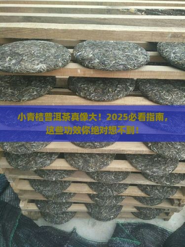 小青桔普洱茶的作用