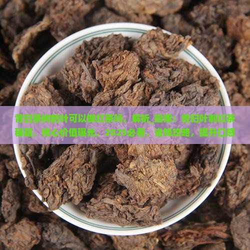 昔归茶树的叶可以做红茶吗