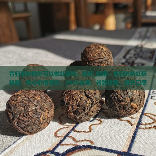 昔归茶树的叶可以做红茶吗