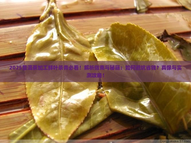 普洱茶加工鲜叶杀青