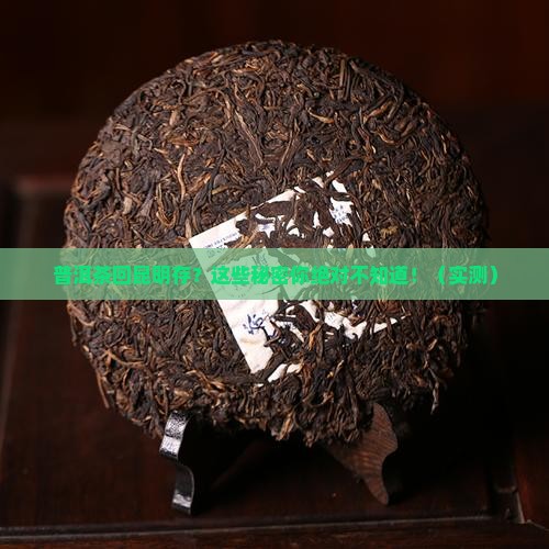 普洱茶回昆明存放一段时间