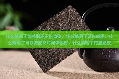 什么茶喝了能减肥还不伤身体