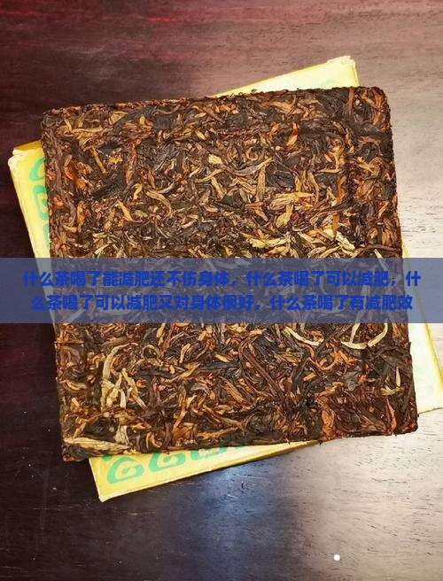 什么茶喝了能减肥还不伤身体