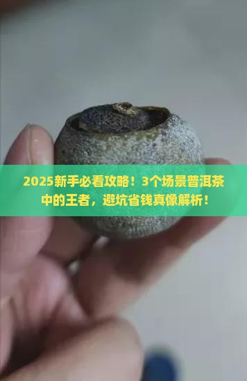 普洱茶中的王者