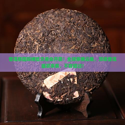 普洱茶国际博览交易会开幕
