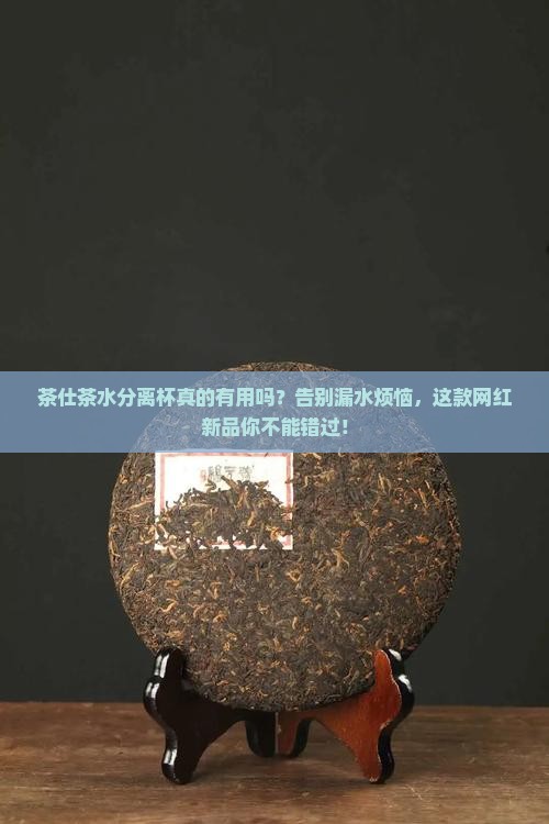 茶仕茶水分离杯 茶仕茶水分离杯