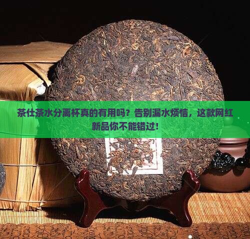茶仕茶水分离杯 茶仕茶水分离杯