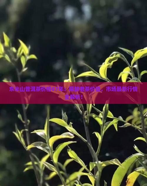 东半山普洱茶价格07年 东半山普洱茶价格07年