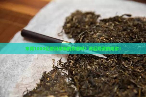 东莞1000亿普洱茶
