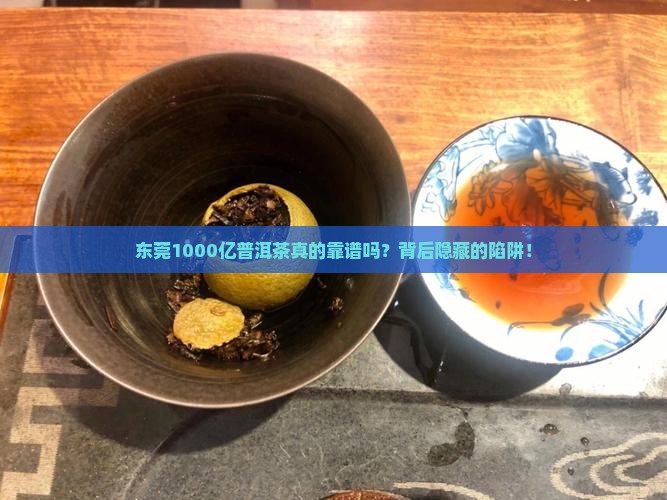 东莞1000亿普洱茶