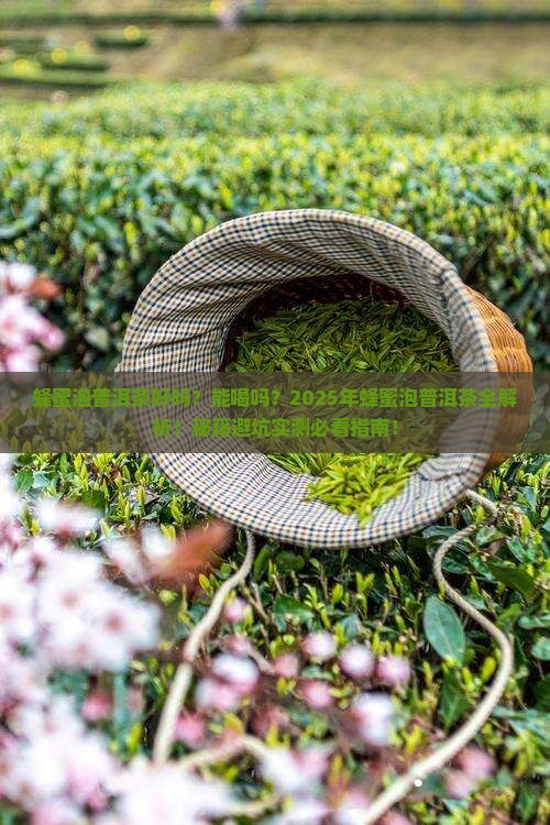 蜂蜜泡普洱茶好吗能喝吗