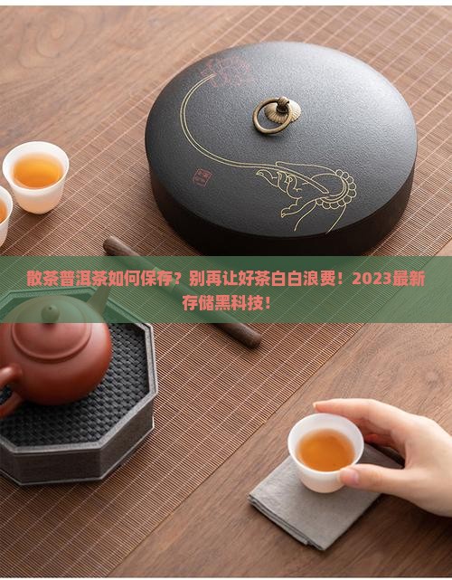 散茶普洱茶如何保存