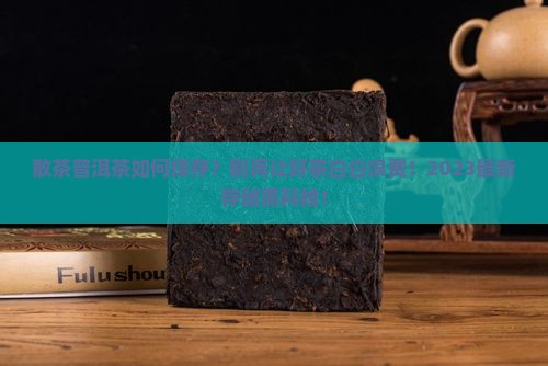 散茶普洱茶如何保存