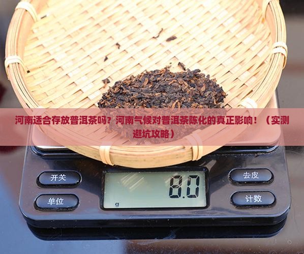 河南适合存放普洱茶吗