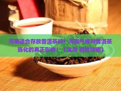 河南适合存放普洱茶吗