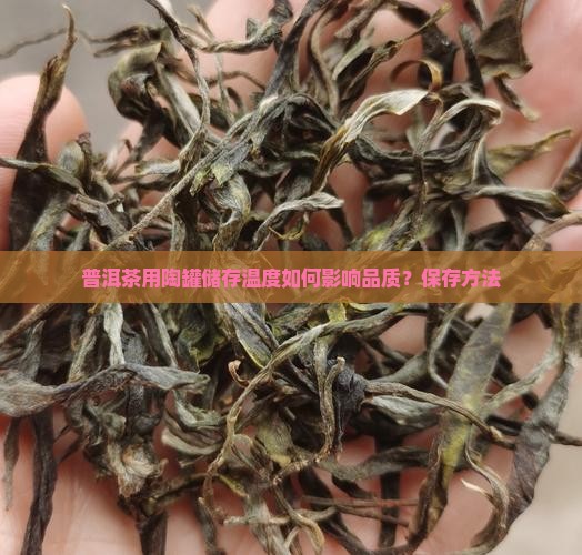 普洱茶用陶罐储存温度