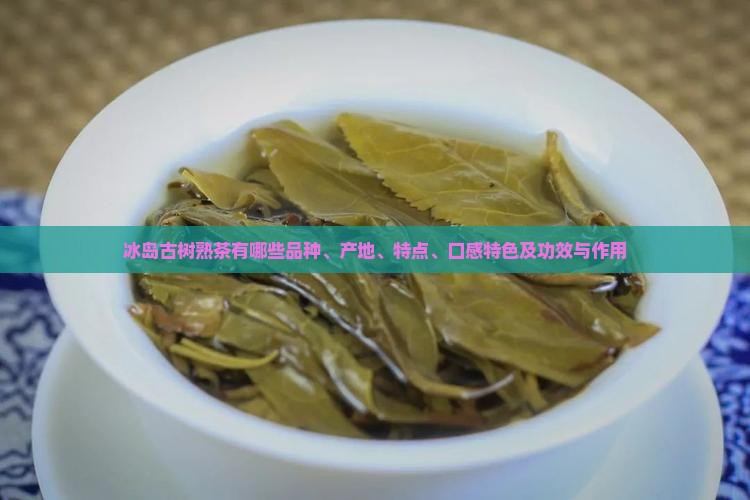 冰岛古树熟茶有哪些