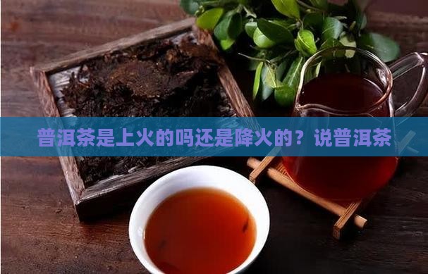 普洱茶是下火的吗还是上火