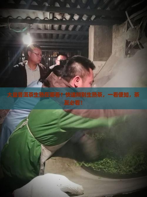 大益普洱茶生熟在哪看