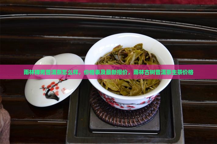 雨林禅苑普洱茶