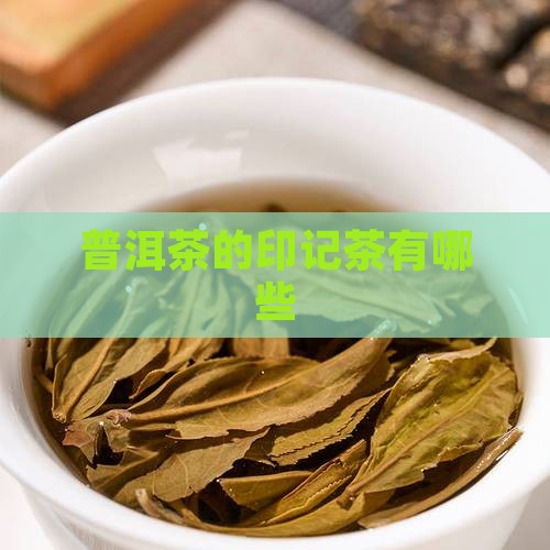 普洱茶的印记茶有哪些