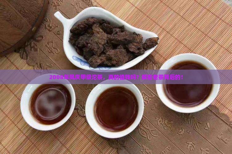 2008年凤庆甲级沱茶