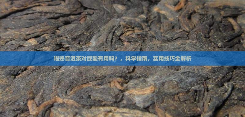 喝熟普洱茶对尿酸有用吗