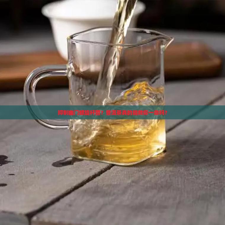 抑制幽门螺旋杆普洱茶