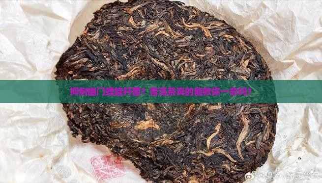 抑制幽门螺旋杆普洱茶