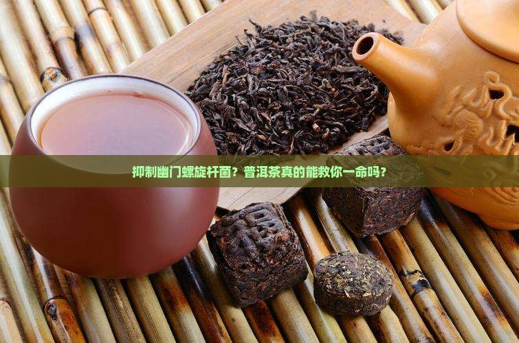 抑制幽门螺旋杆普洱茶