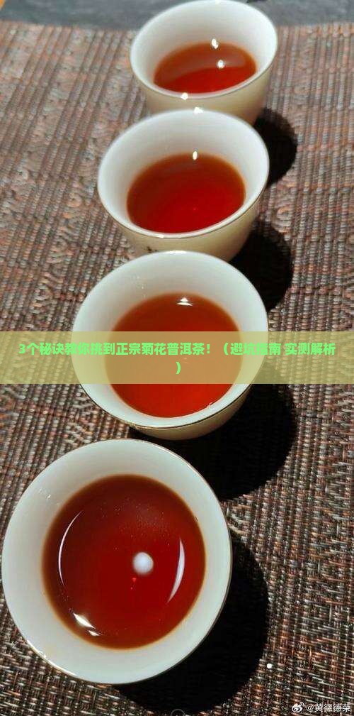 菊花普洱茶外形特点