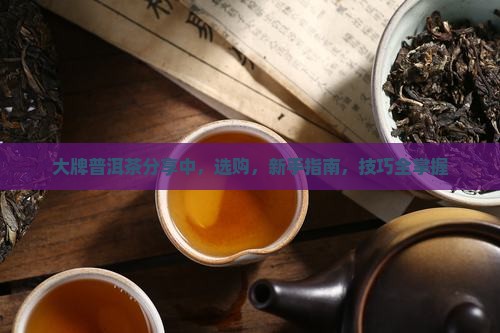 大牌普洱茶分享中