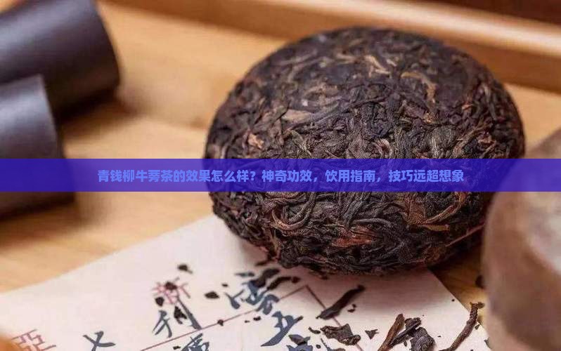 青钱柳牛蒡茶的效果
