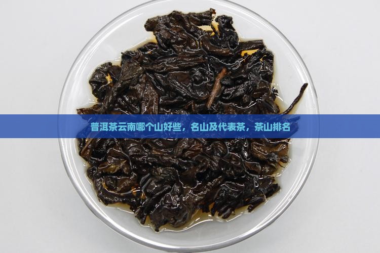 普洱茶云南哪个山好些