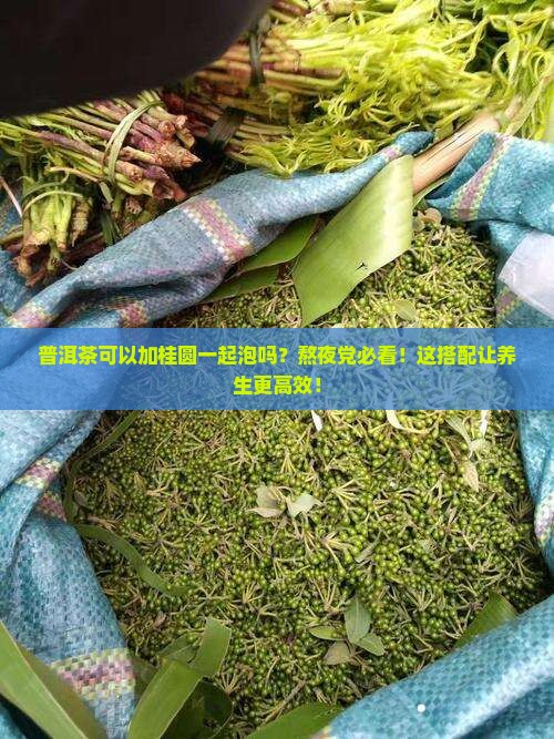 普洱茶可以加桂圆一起泡吗