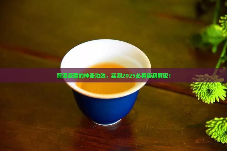 普洱茶醋的作用