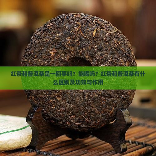 红茶和普洱茶是一回事吗