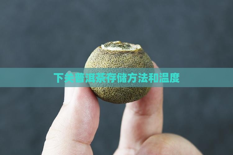 下关普洱茶存储 下关普洱茶存储
