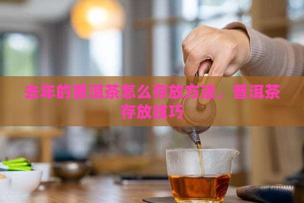 去年的普洱茶怎么存放